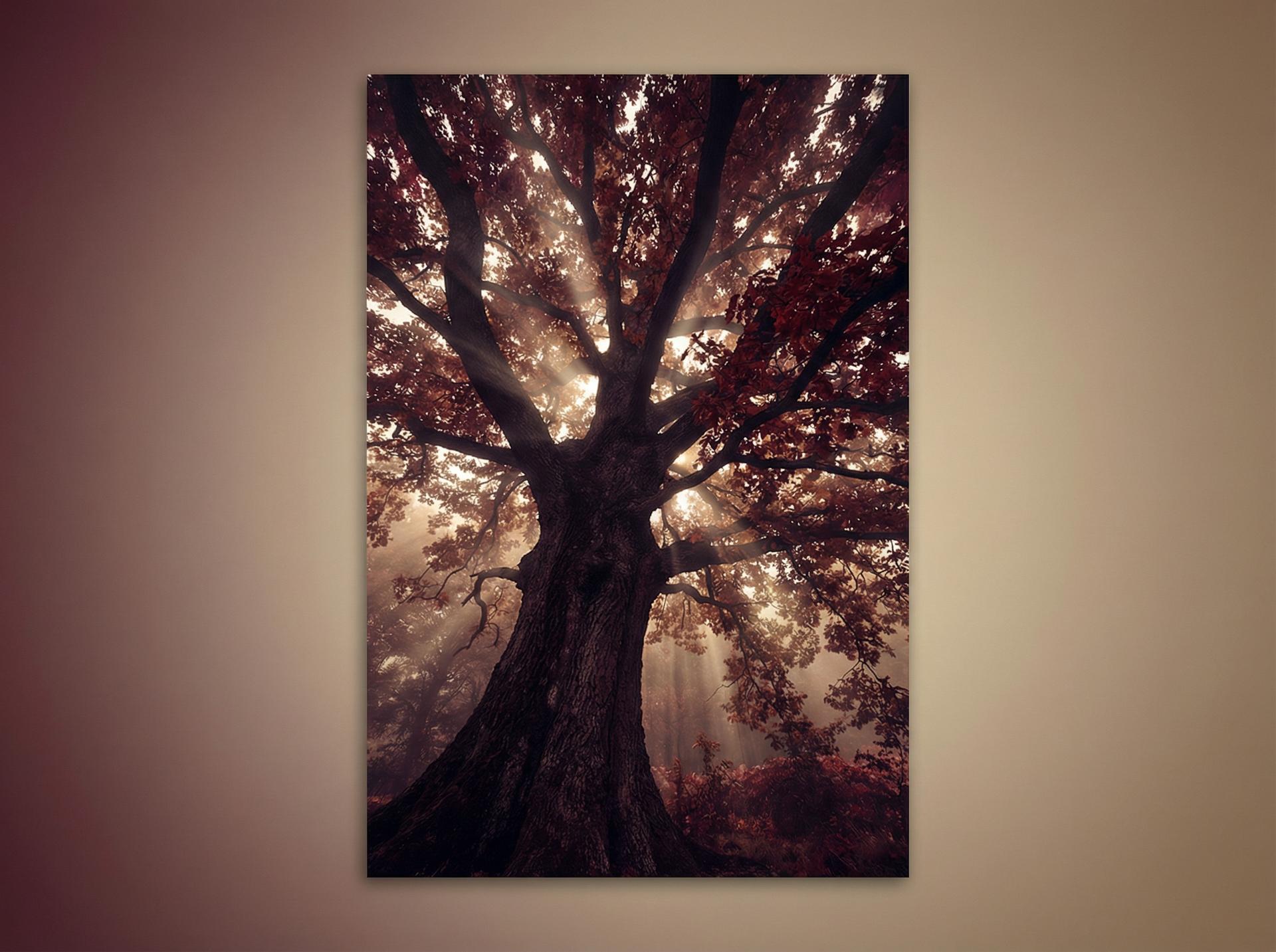 芒果视频 AI植物视频推荐